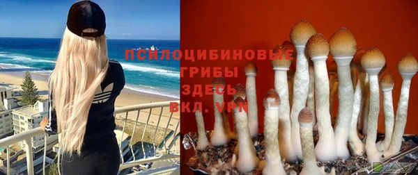 первитин Абдулино