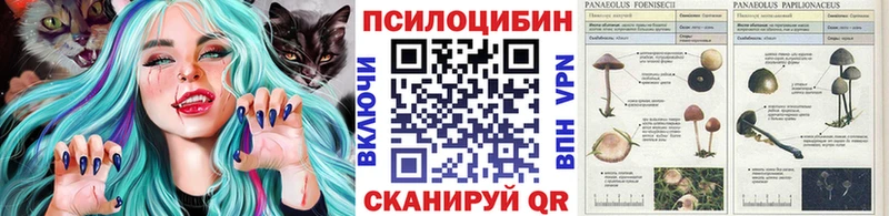 Псилоцибиновые грибы прущие грибы  наркота  Сычёвка 