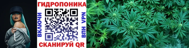 наркота  Сычёвка  дарк нет как зайти  МАРИХУАНА MAZAR 